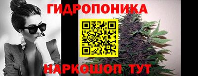 твердый Кингисепп
