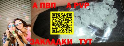 твердый Кингисепп