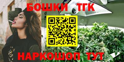 твердый Кингисепп