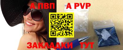 твердый Кингисепп