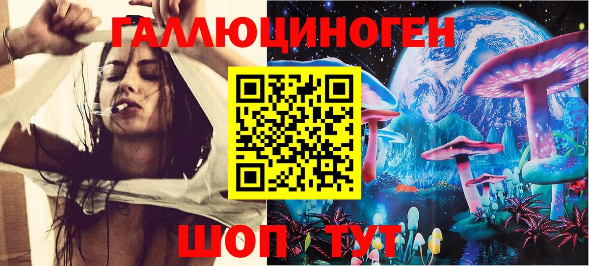 купить  сайты  Дагестанские Огни  Галлюциногенные грибы GOLDEN TEACHER 