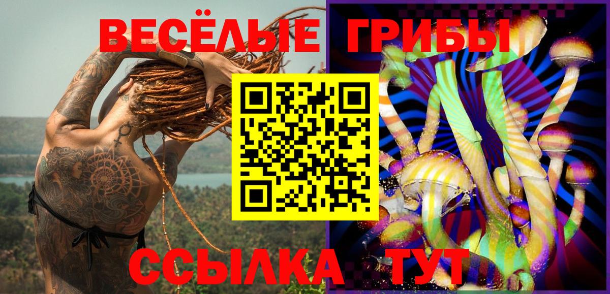 Псилоцибиновые грибы Psilocybine cubensis  Вход с VPN  Дагестанские Огни  Псилоцибиновые грибы мицелий 