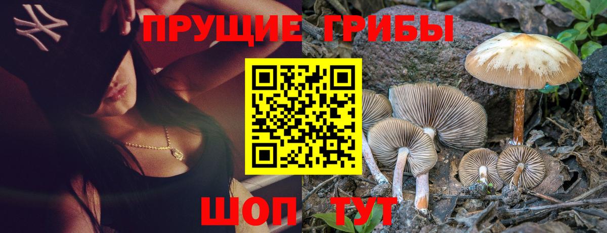 Псилоцибиновые грибы мицелий Дагестанские Огни